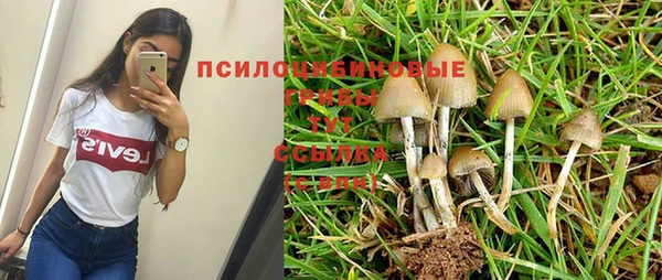 каннабис Волоколамск