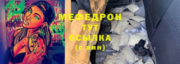 стаф Вязьма