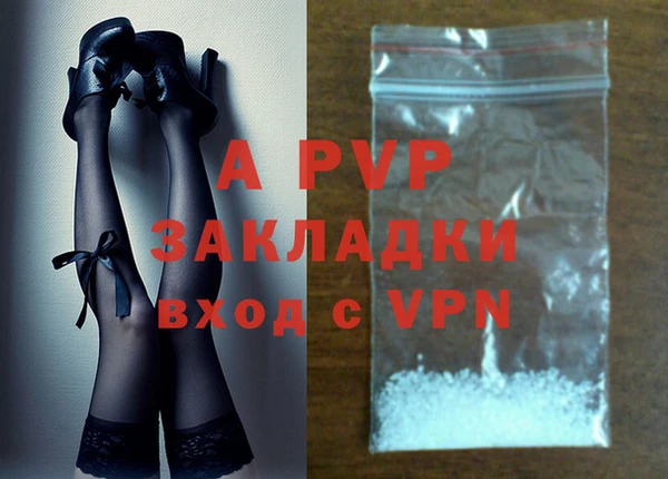 ГАЛЛЮЦИНОГЕННЫЕ ГРИБЫ Вяземский