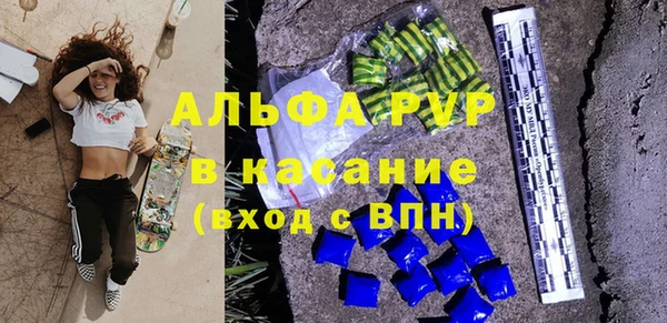 стаф Вязьма