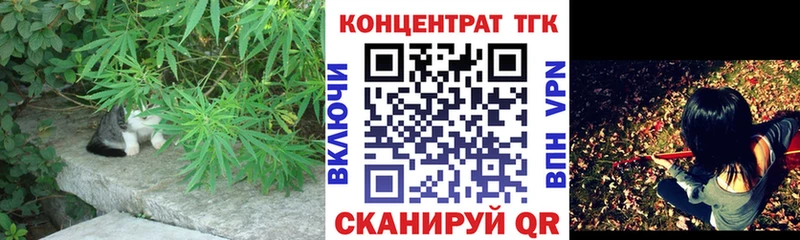 OMG   Камень-на-Оби  Дистиллят ТГК Wax 