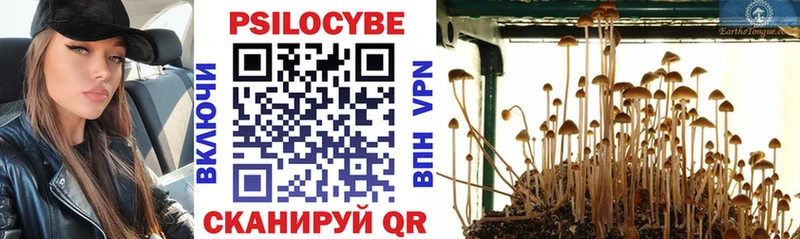 Псилоцибиновые грибы мицелий  где купить   Камень-на-Оби 