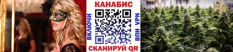 Бошки Шишки THC 21%  МЕГА tor  Камень-на-Оби 